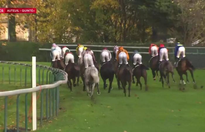 Quinté+: PRICE COUNT SCHOMBERG – AUTEUIL – 16/11/2024: corridori, pronostici e risultati in video – Gara 6