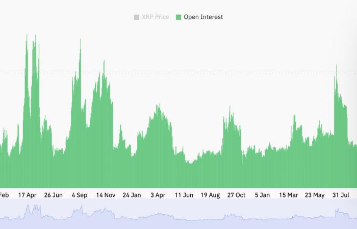 XRP sovraperforma il mercato delle criptovalute con un incremento del 17%: cosa sta guidando il rally?