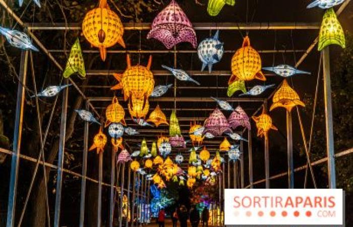 Giurassico in fase di illuminazione: il festival delle luci 2024-2025 al Jardin des Plantes – foto