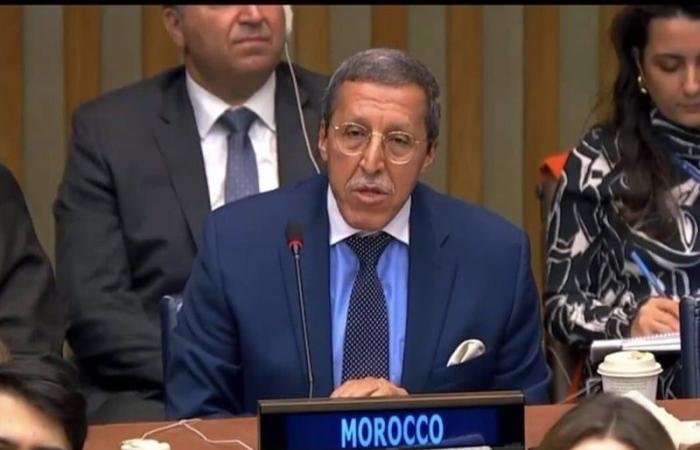 Omar Hilale nominato co-presidente del Forum ECOSOC