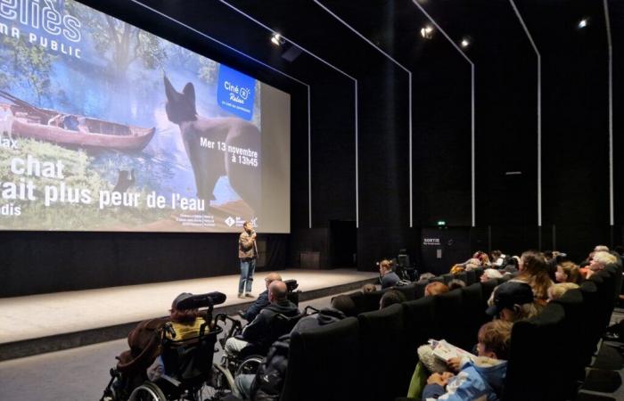 a Montreuil, proiezioni di cinema adattate alle persone con disabilità