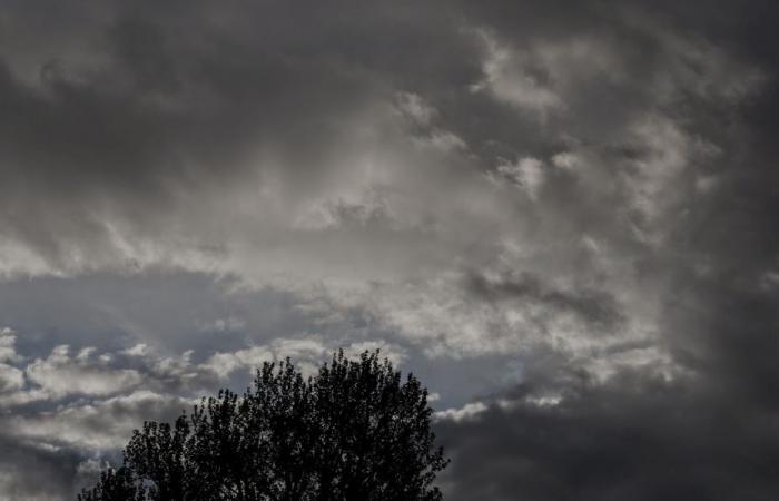 Bollettino meteorologico. Che tempo c'è questo sabato, 16 novembre in Alta Francia?