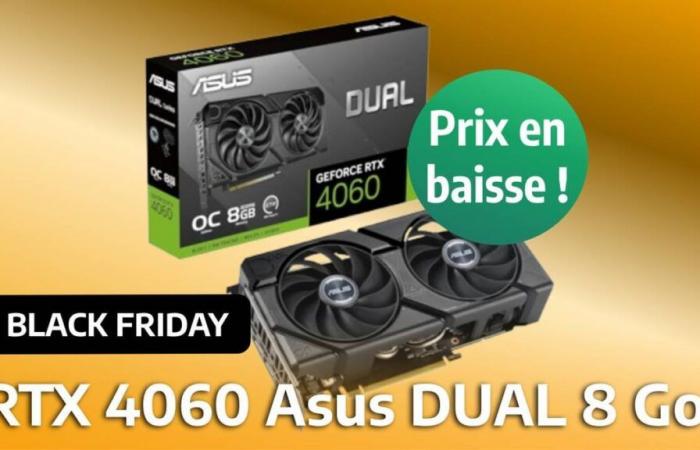 In vendita per il Black Friday, l'Asus RTX 4060 8 GB è disponibile ad un prezzo raramente visto