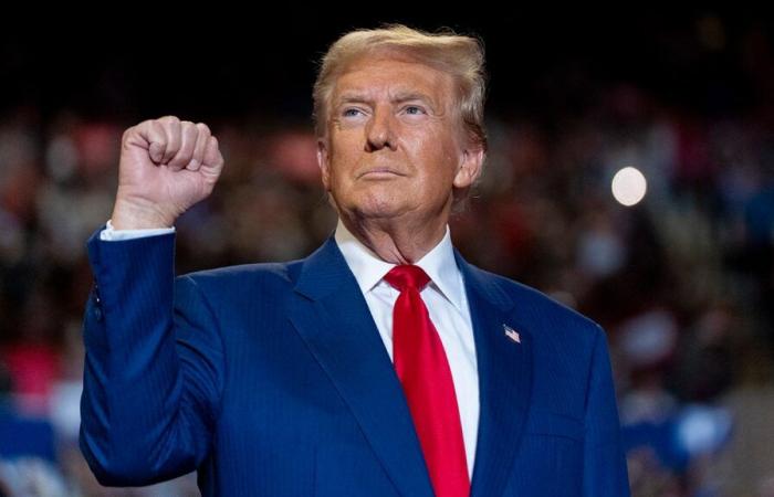 Donald Trump arriva all'UFC 309 in MSG; la folla esulta per il presidente eletto settimane dopo la storica manifestazione