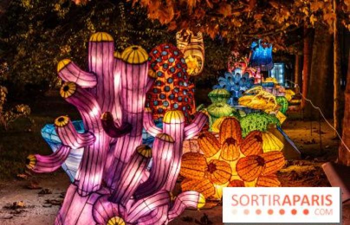 Giurassico in fase di illuminazione: il festival delle luci 2024-2025 al Jardin des Plantes – foto