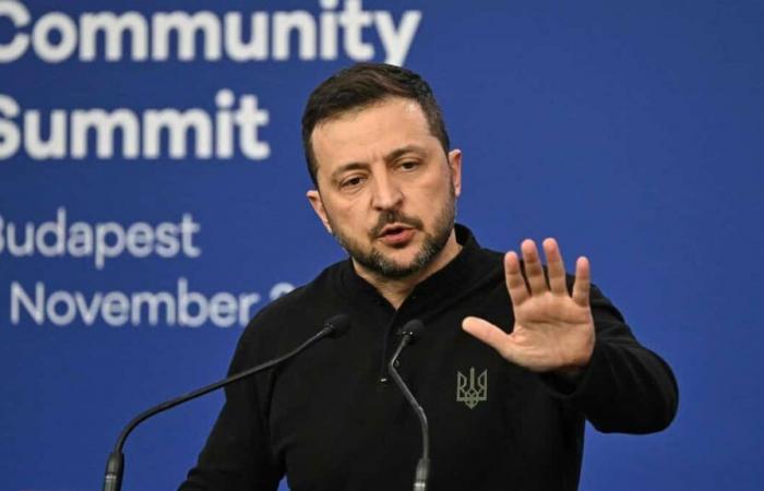 Ucraina: Zelenskyj afferma di volere che la guerra finisca nel 2025 con “mezzi diplomatici”