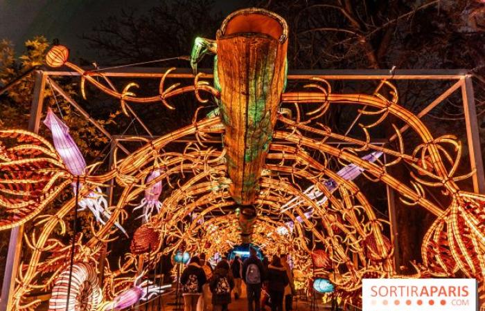 Giurassico in fase di illuminazione: il festival delle luci 2024-2025 al Jardin des Plantes – foto