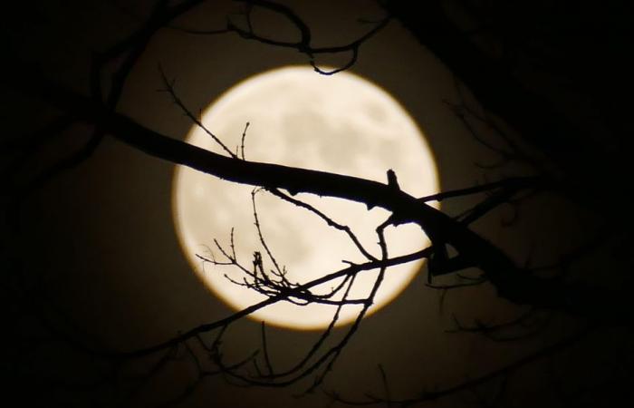 FOTO. L'ultima “Super Luna” dell'anno ha illuminato il cielo, uno spettacolo suggestivo nel cielo notturno