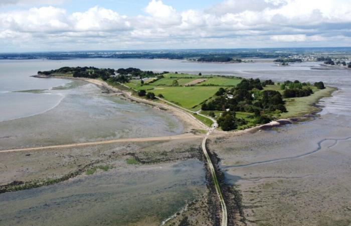 Vicino a Vannes, questo piccolo angolo di paradiso è accessibile solo con la bassa marea