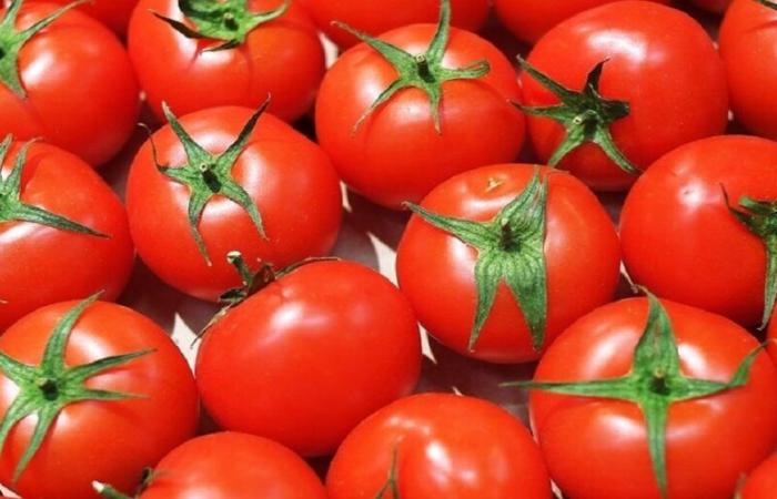 Marocco: i prezzi dei pomodori continuano a salire