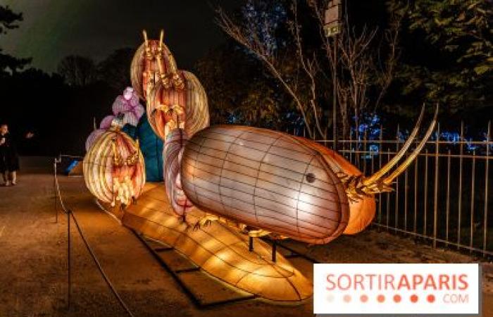 Giurassico in fase di illuminazione: il festival delle luci 2024-2025 al Jardin des Plantes – foto