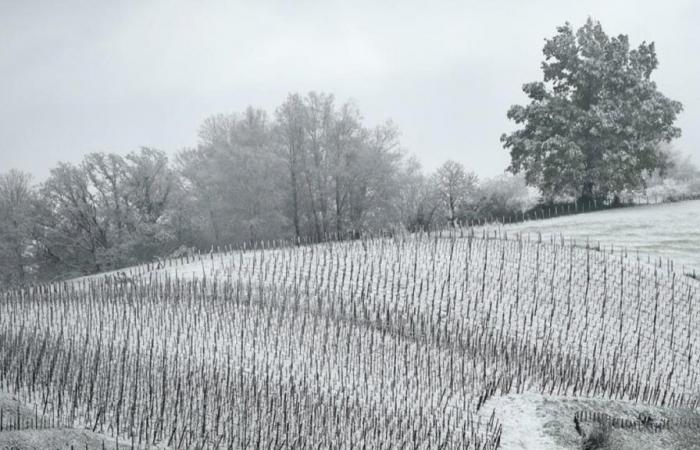 perché la prossima settimana, secondo le previsioni, i fiocchi di neve potrebbero cadere fino in pianura