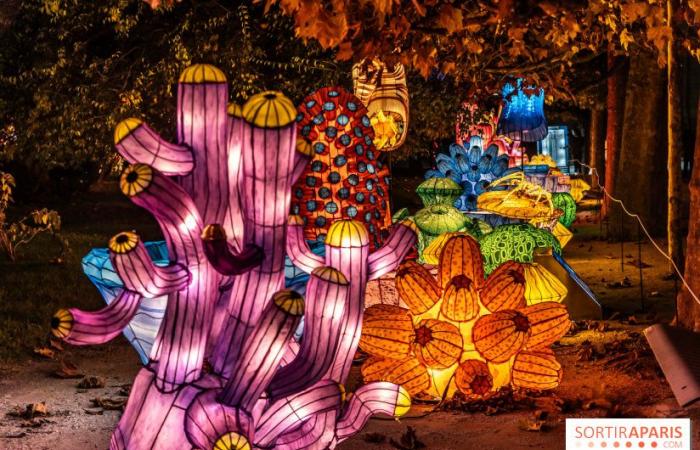 Giurassico in fase di illuminazione: il festival delle luci 2024-2025 al Jardin des Plantes – foto