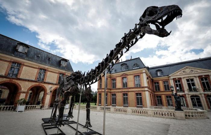 Uno scheletro di dinosauro gigante venduto per 6 milioni di euro a Yvelines