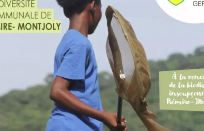 Trofei Atlante Municipale della Biodiversità 2024: Rémire-Montjoly (Guyana) tra le 5 comunità vincitrici