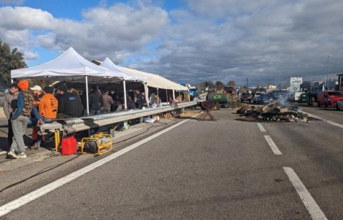 Drôme – Valence – Mobilitazione: Il sostegno dei Valentinois di fronte alla rabbia dei contadini