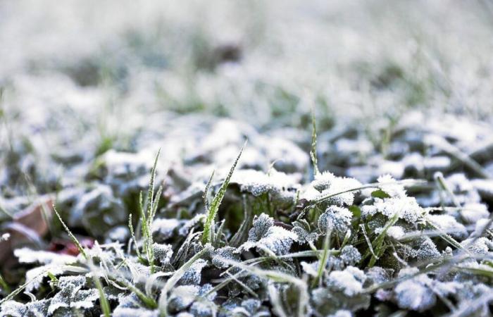 Ondata di freddo e “prime sensazioni invernali”: nevicherà in Bretagna la prossima settimana?