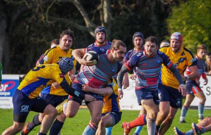 Rugby. Una partita chiave in arrivo per lo Stade Caennais