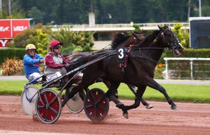 Pronostico PRIX DE PROVENCE gratuito