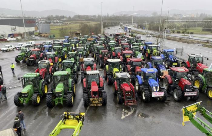 gli agricoltori scendono di nuovo in piazza questo lunedì