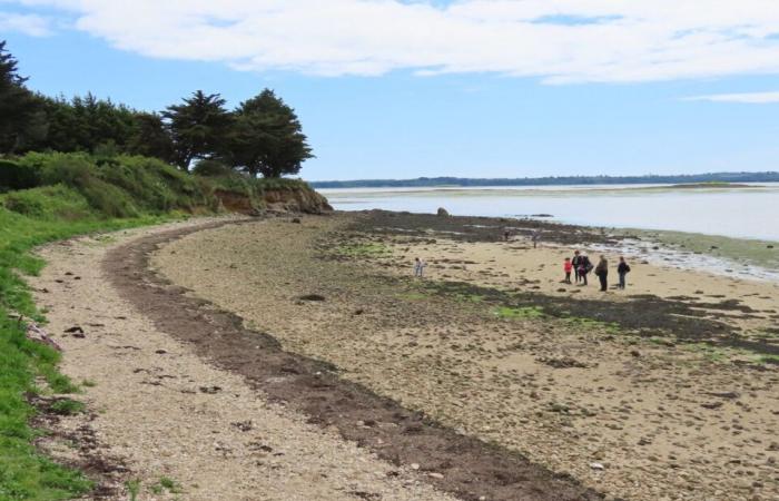 Vicino a Vannes, questo piccolo angolo di paradiso è accessibile solo con la bassa marea