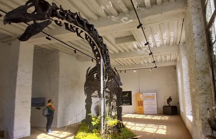 Uno scheletro di dinosauro gigante venduto per 6 milioni di euro vicino a Parigi