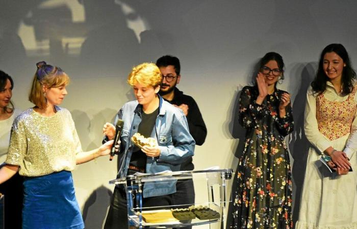 Festival Europeo del Cortometraggio di Brest: dopo le premiazioni, il momento delle proiezioni finali