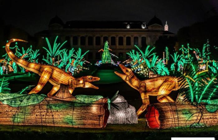 Giurassico in fase di illuminazione: il festival delle luci 2024-2025 al Jardin des Plantes – foto