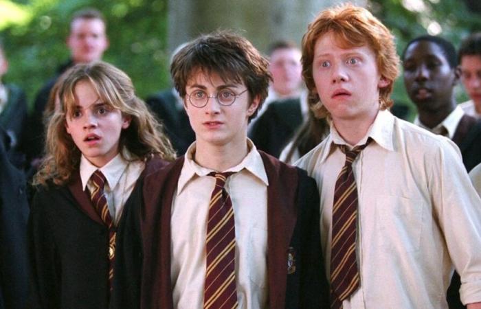 5 motivi per cui la serie TV di Harry Potter della HBO è destinata al flop