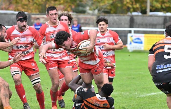 Rugby amatoriale – Federal 2: con la ricezione di Beaumont-de-Lomagne, il Club Lombez-Samatan cerca consistenza in Paul-Vignaux