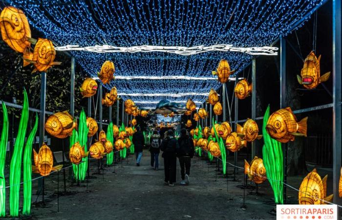 Giurassico in fase di illuminazione: il festival delle luci 2024-2025 al Jardin des Plantes – foto