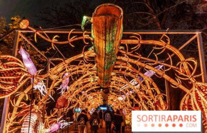 Giurassico in fase di illuminazione: il festival delle luci 2024-2025 al Jardin des Plantes – foto