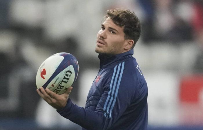 RUGBY. Francia – Nuova Zelanda: i Blues passano alla rivelazione degli All Blacks… Canale, ora, TV