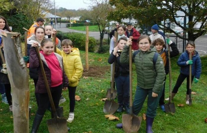 Argento. Giovani funzionari eletti hanno piantato alberi in diversi luoghi