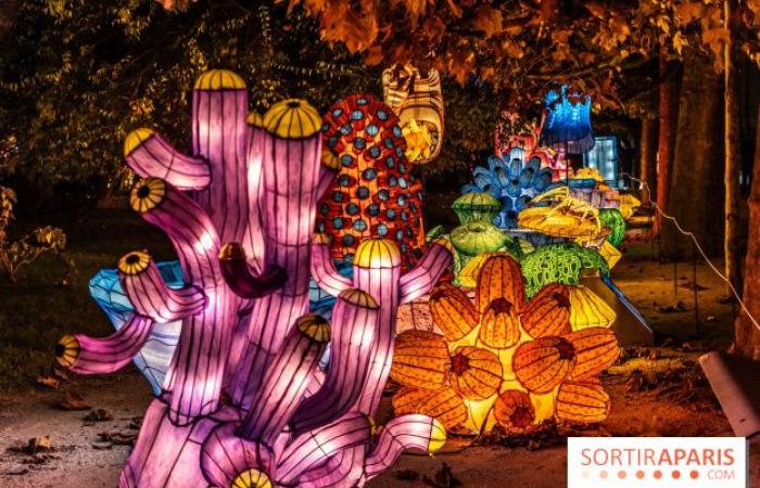 Giurassico in fase di illuminazione: il festival delle luci 2024-2025 al Jardin des Plantes – foto