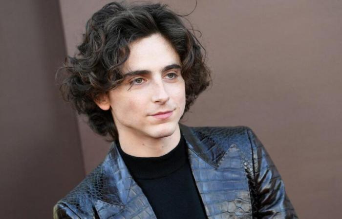 Timothée Chalamet ammette di essere stato vittima di “body shaming” all'inizio della sua carriera