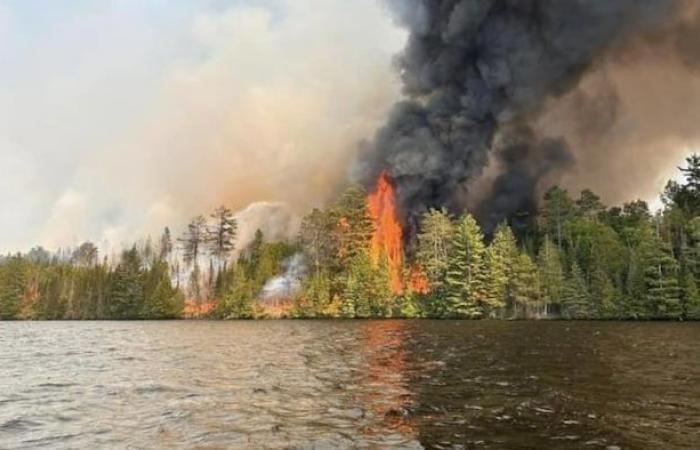 Un uomo di Ottawa si dichiara colpevole in relazione all’incendio del Centennial Lake