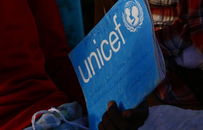 Infermiera dell'Unicef ​​scappa dopo sei anni di prigionia con i jihadisti