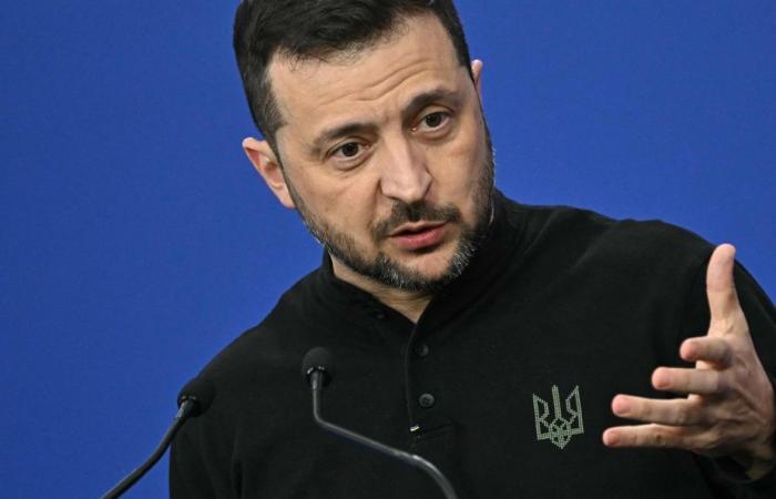 Ucraina | Zelenskyj vuole porre fine alla guerra nel 2025 con “mezzi diplomatici”