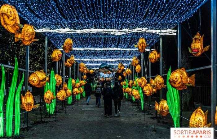 Giurassico in fase di illuminazione: il festival delle luci 2024-2025 al Jardin des Plantes – foto