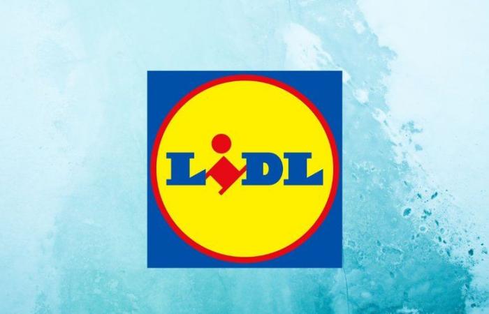 Non aspettare l'ora di innamorarti di questa valigetta portautensili Parkside a un prezzo molto ragionevole da Lidl