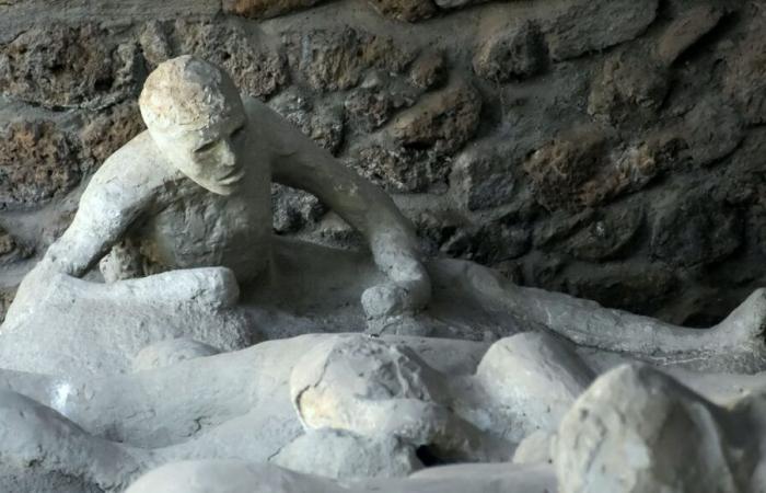 L'analisi del DNA contraddice le teorie sulle vittime di Pompei