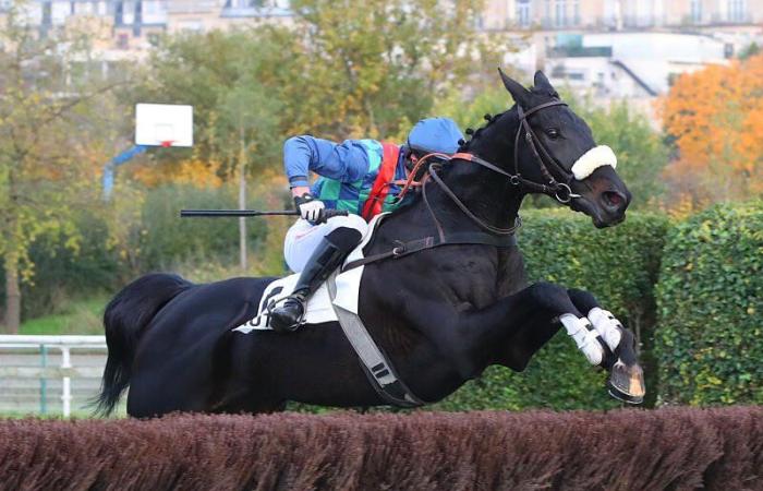 Premio Serge Landon – Gran Premio d'Autunno: Blue Losange regna sovrana