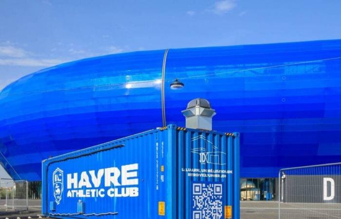 Ligue 1. Il libro paga del Le Havre supervisionato dalla DNCG