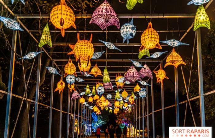 Giurassico in fase di illuminazione: il festival delle luci 2024-2025 al Jardin des Plantes – foto