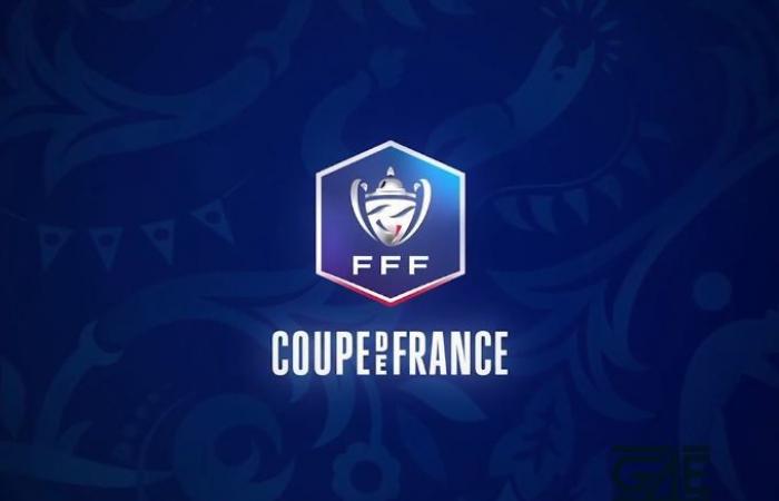 [Coupe de France] Locminé Saint-Colomban, La Roche Vendée e Dinan-Léhon vanno all'8° turno, fine corso ovviamente per Saumur. SA Mérignac continua il suo viaggio