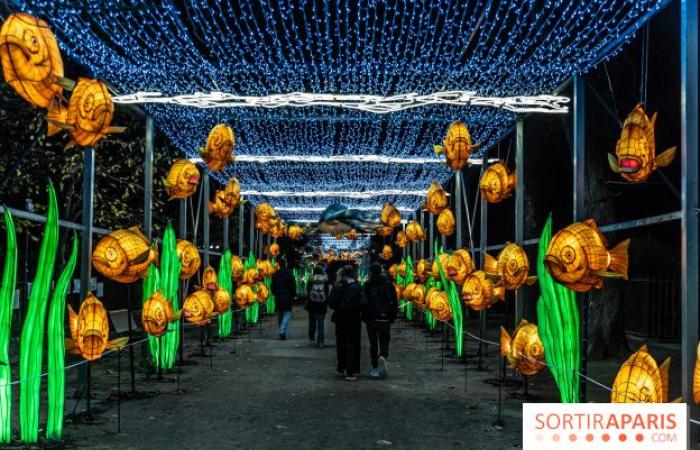 Giurassico in fase di illuminazione: il festival delle luci 2024-2025 al Jardin des Plantes – foto