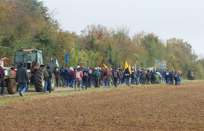 Almeno 700 manifestanti anti-bacino si sono riuniti a Saint-Sauvant, a Vienne