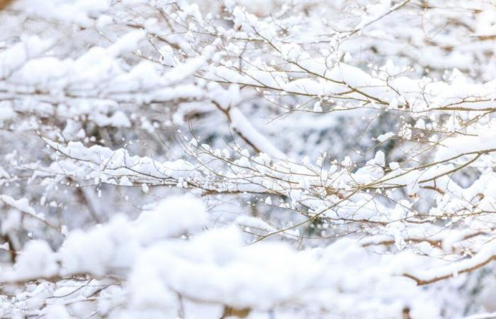 questi 7 dipartimenti dove potrebbe nevicare la prossima settimana