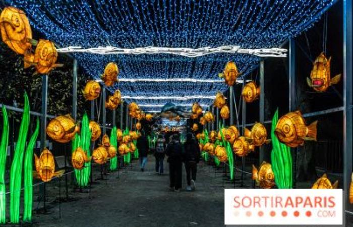 Giurassico in fase di illuminazione: il festival delle luci 2024-2025 al Jardin des Plantes – foto